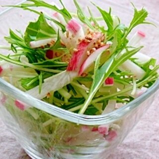 水菜と赤大根のサラダ